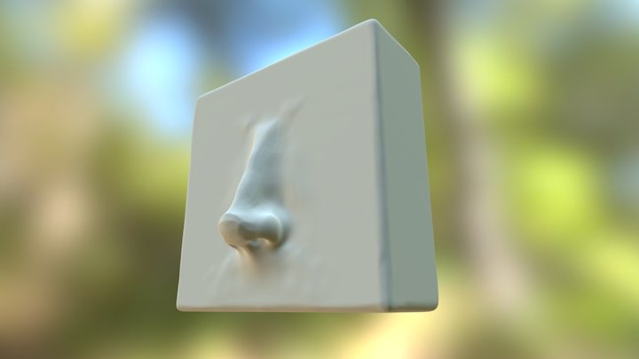 Block Anatomy Practice - Nose: 1 3D Model