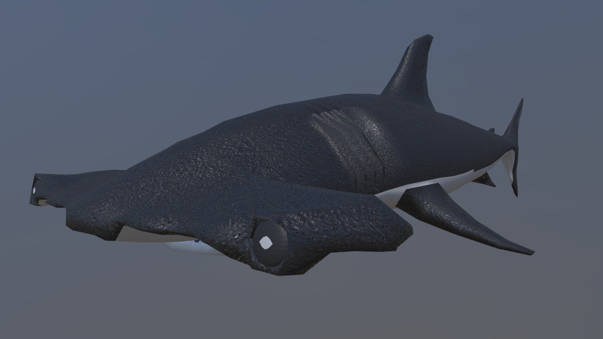 Great Hammerhead Shark - Download Free 3D model by CanYuTsai ...