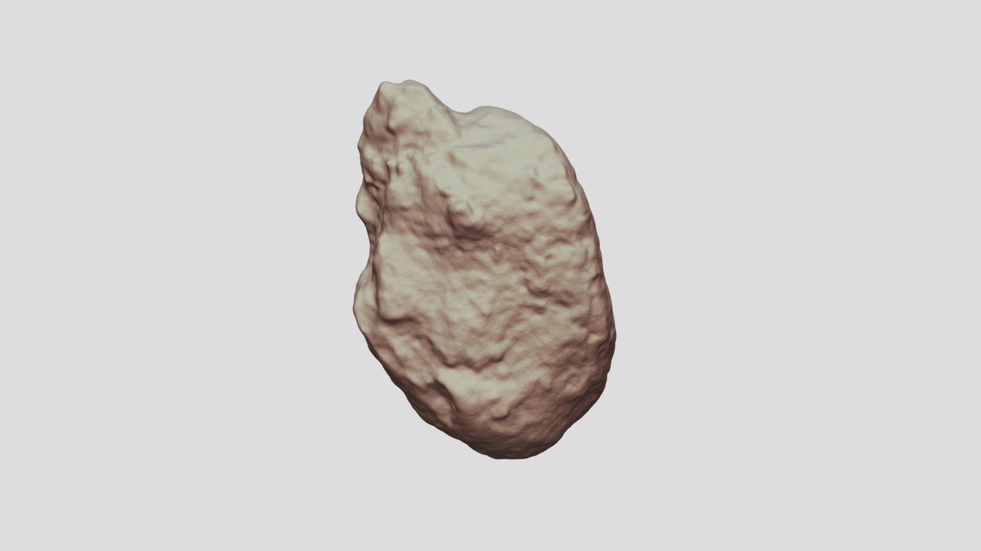 Moa coprolite (test upload) - 3D model by janina.castro [f340a5f ...