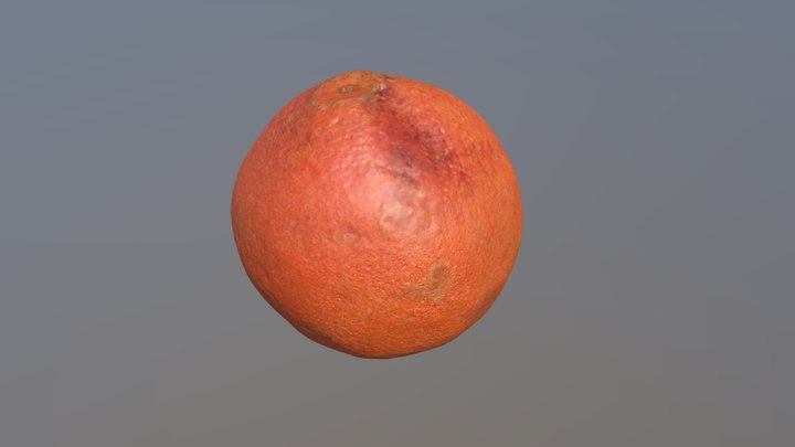Orange_Bruised 3D Model