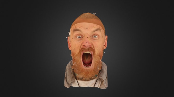 3D Head Scan Roman Sluka Scream 3D Model