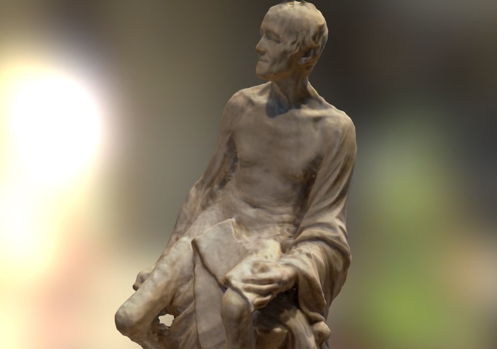 Naked Voltaire