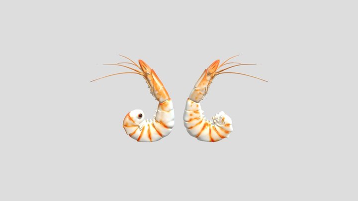 Shrimp salt and pepper shakers 3D Model