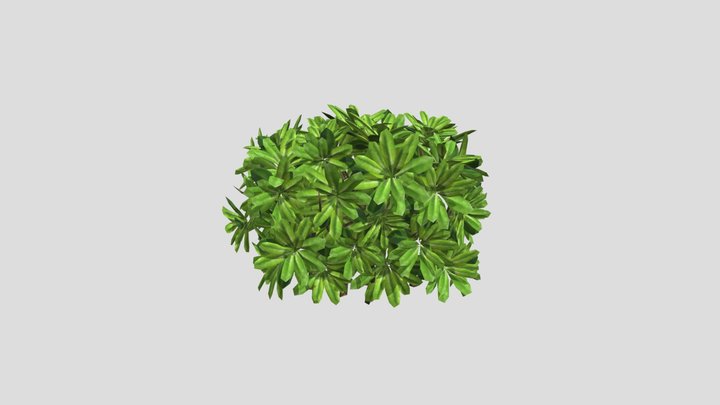 Hedge 283 – Free 3D Model STL