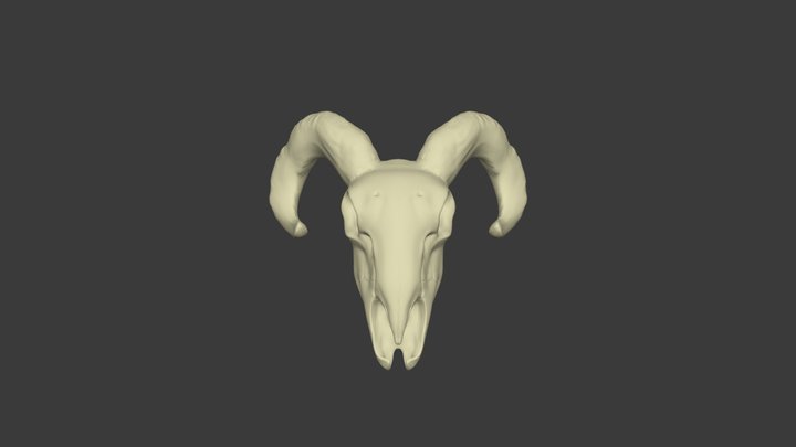 Goat Skull 3D Model