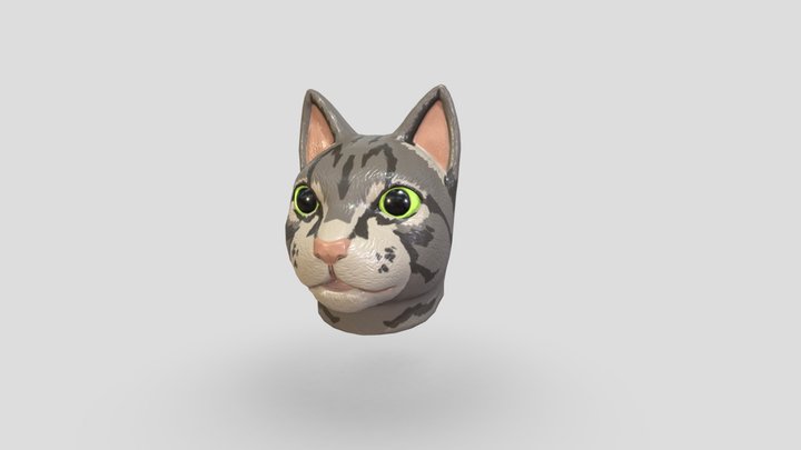 Cat Mask Tabby 3D Model