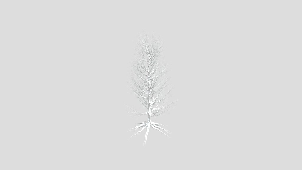 Dry Tree 02