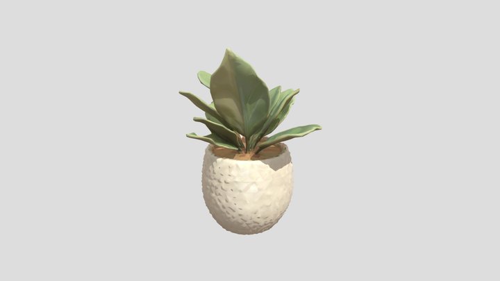 Low Poly Succulent Plant in Textured Pot 3D Model