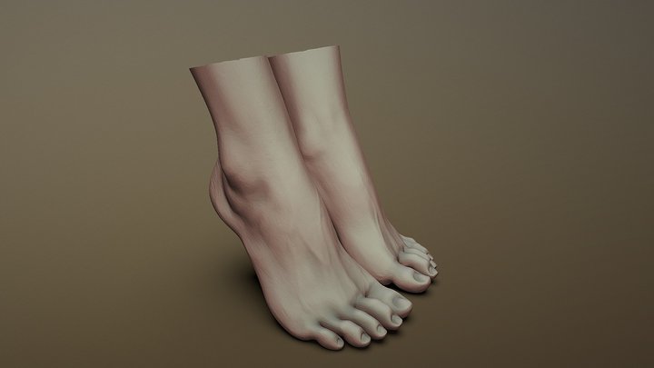 Female Foot 3 3D Model