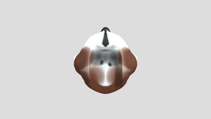 Your Mesh (6) 3D Model