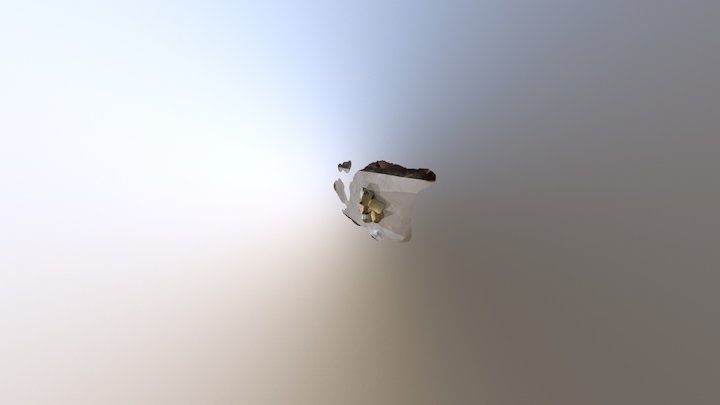 On the floor 3D Model