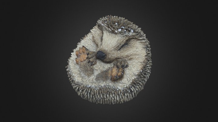Hedgehog 3D Model