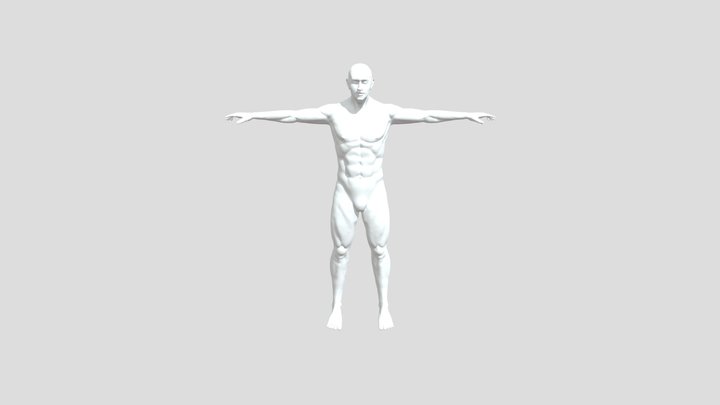 Melva Mitchell Fort Worth Chiropractic 3D Model