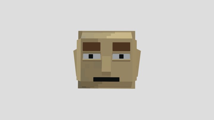 wtf is that ? minecraft 3D Model
