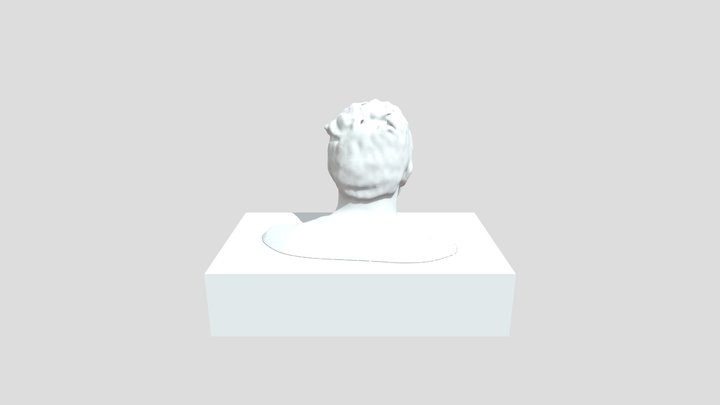 Kollati Self Scan 3D Model