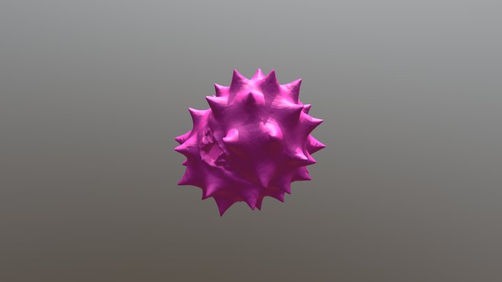 Daisy-type pollen 3D Model