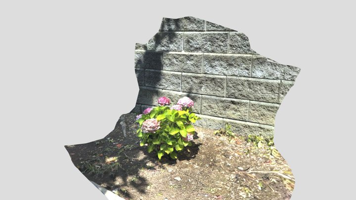 Flower 3d 2 3D Model