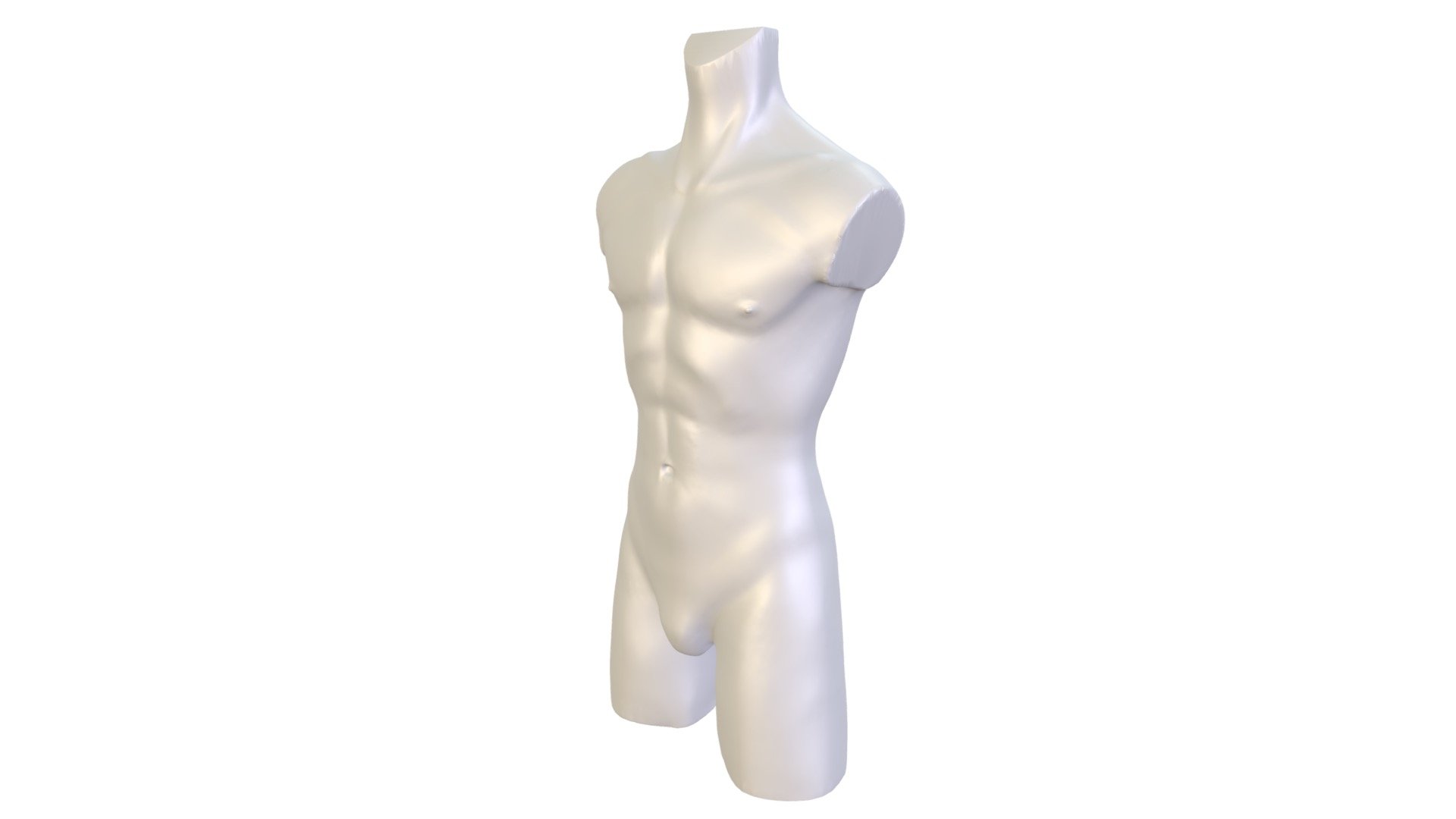 Mannequins torso 3d model