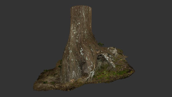 Exterior Tree Scanning R&D 3D Model