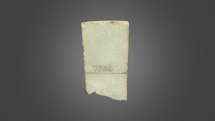 Evaporite Core Gray 1-31, Section 7736