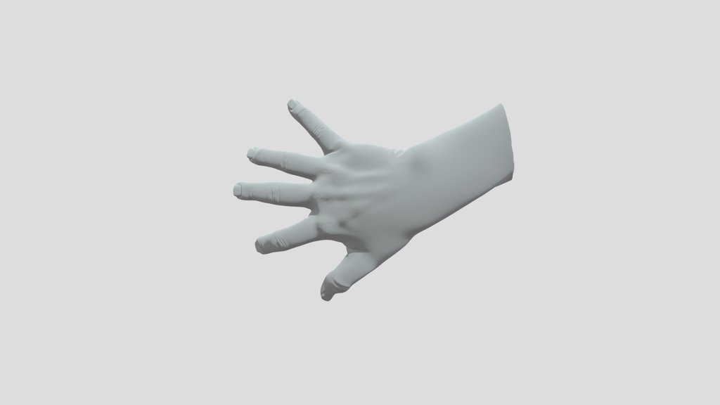 Five Fingers Spread on White Wall
