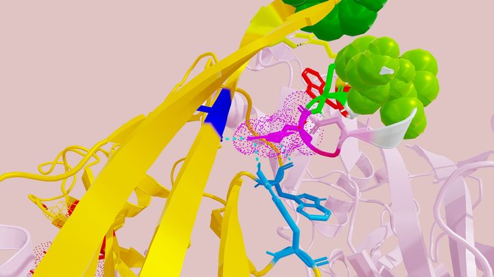 A guided tour of the Alpha Conotoxin, Imi 3D Model