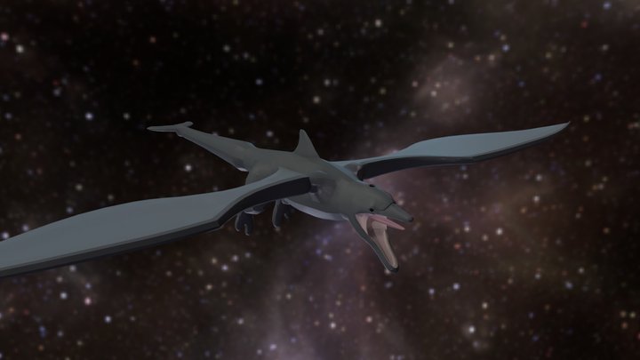 Dolphin Wyvern 3D Model