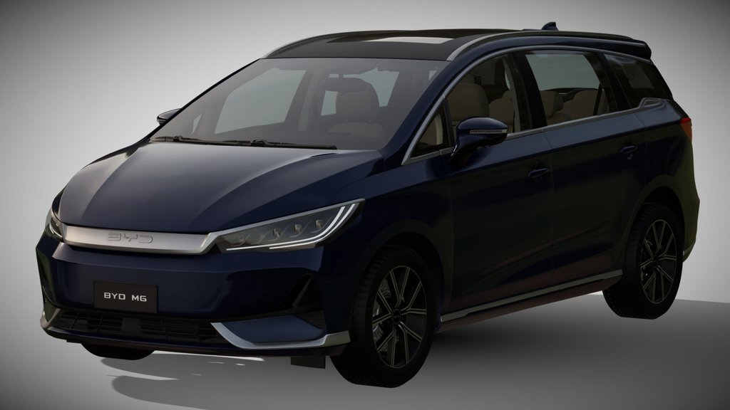 2024 BYD M6