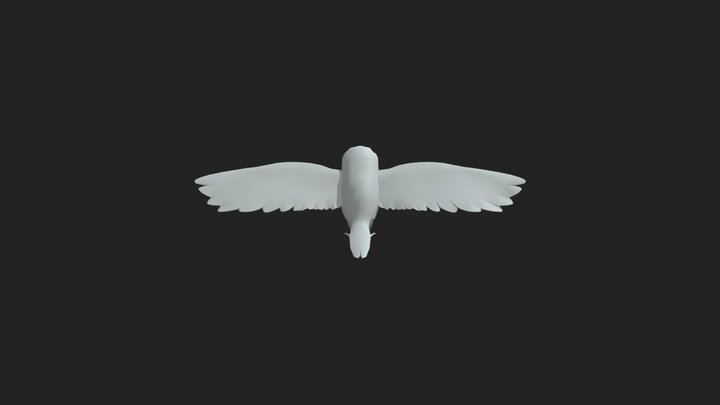 Retopology Owl 3D Model