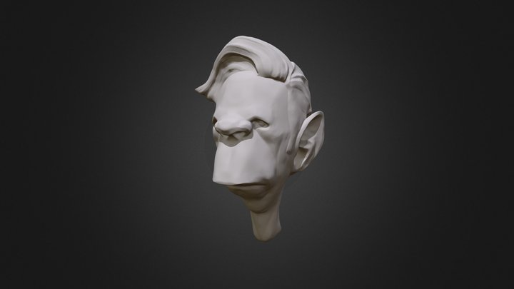 Head Sculpt 01 3D Model