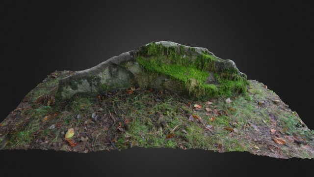 Tfm 3D models - Sketchfab