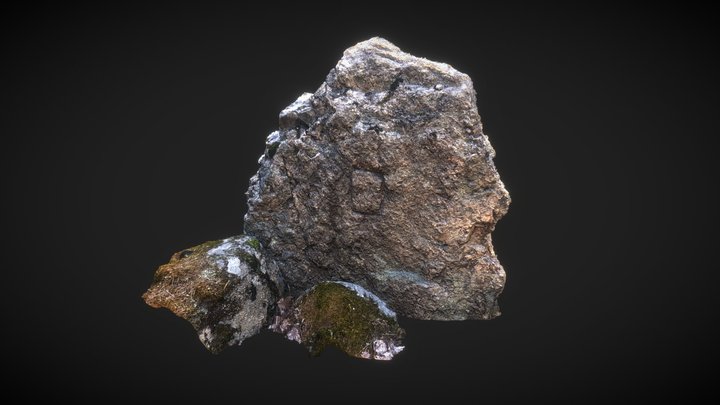 Rock Photogrammetry 3D Model