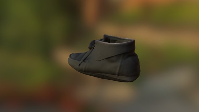 Shoe-leather 3D Model