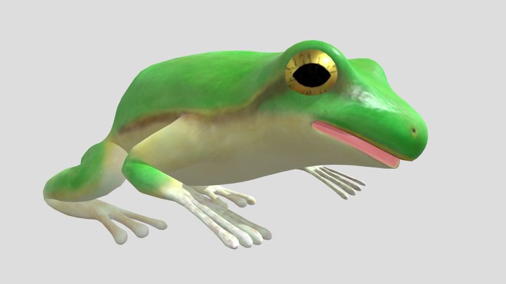 Frog 3D Model