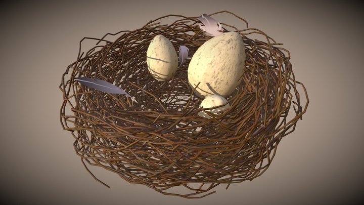 Bird Nest 3D Model