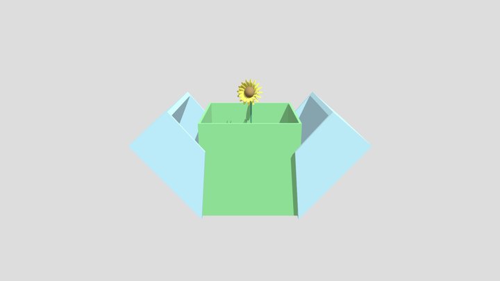 flower in the box 3D Model