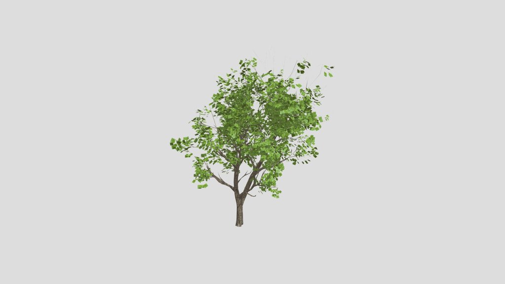 Tree Lod 2