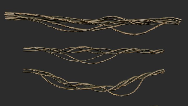 Root braided Vines Set 3D Model