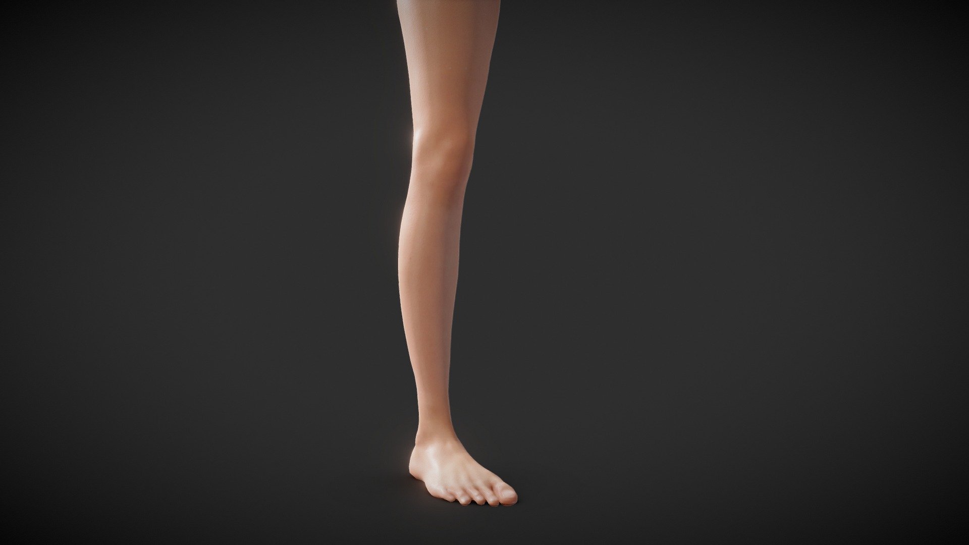 Fit Female Anatomy - Leg and Foot base mesh - Buy Royalty Free 3D model ...