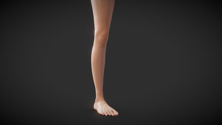 Fit Female Anatomy - Leg and Foot base mesh 3D Model
