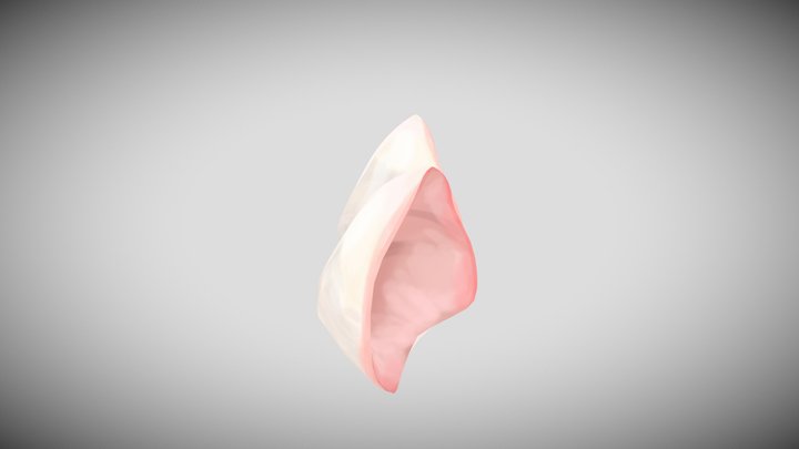 Cat Ears 7 3D Model