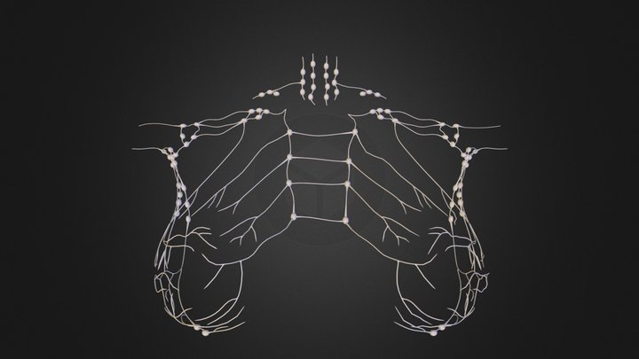 Breast_Lymph_Node.obj 3D Model