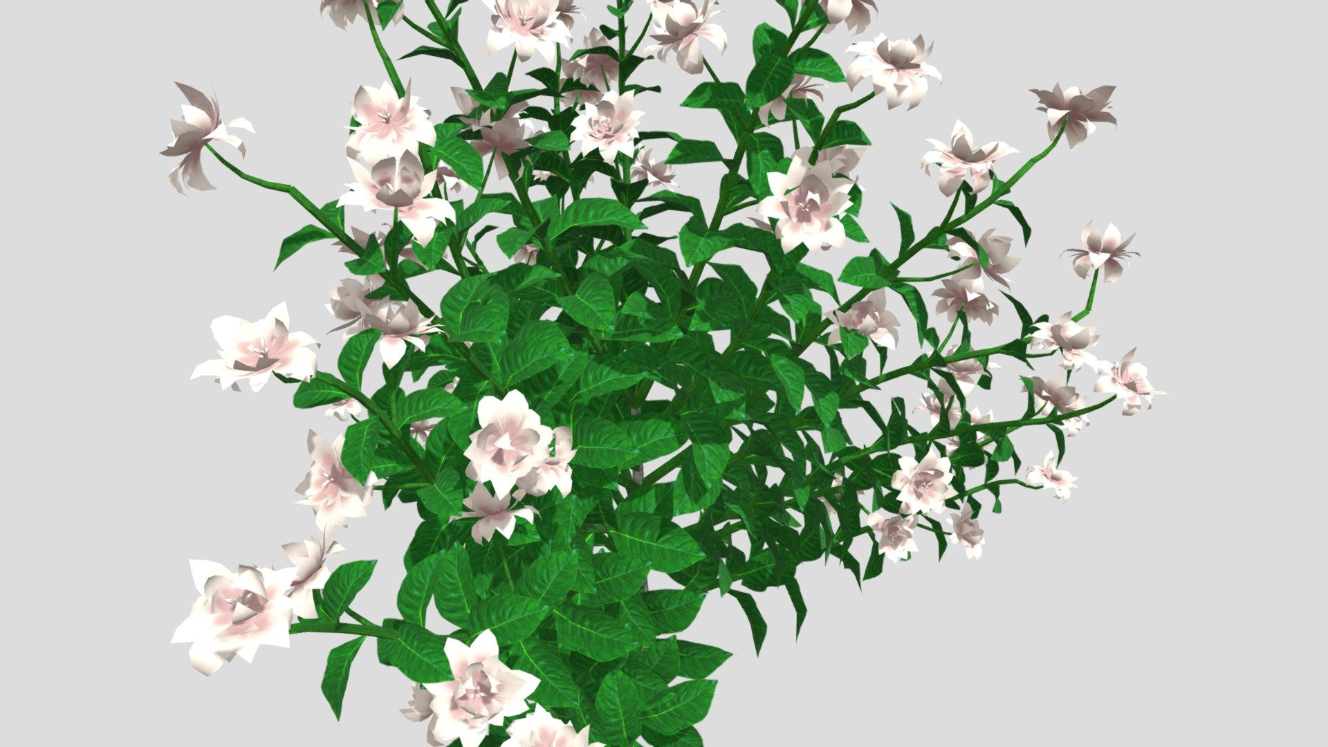 Gardenia Flower 3d Model — Sketchfab embed 3D viewer