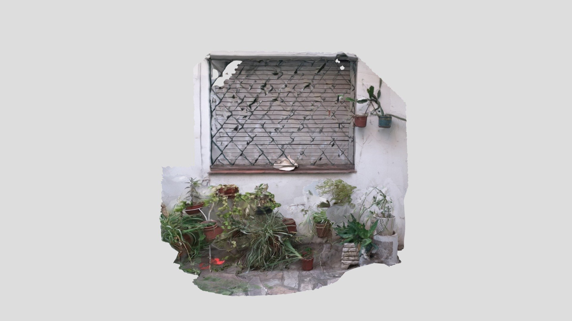Espacio de plantas