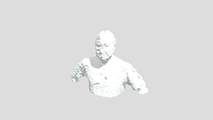 Fabricademy Wk2/Bust 3D Model