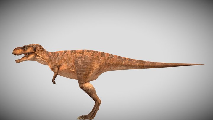 JWE3 Juvenile Tyrannosaurus Rex – Kostenloses 3D-Modell STL