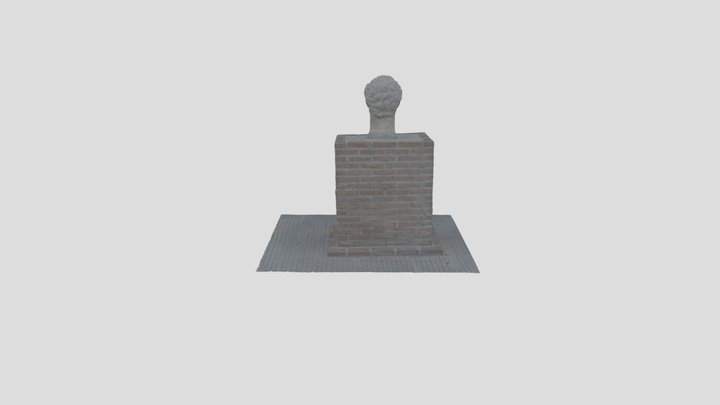 Fotogrametria Busto - Cabarcos & Catalan 3D Model