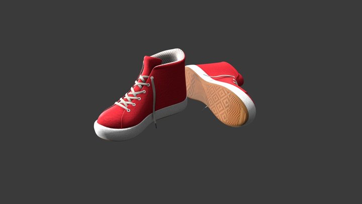 Canvas Shoes 3D Model