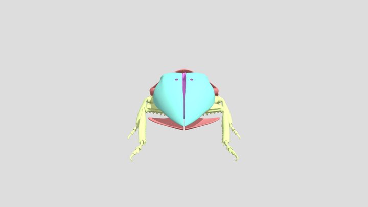 Cyber Bug – Sci-Fi Robotic Insect