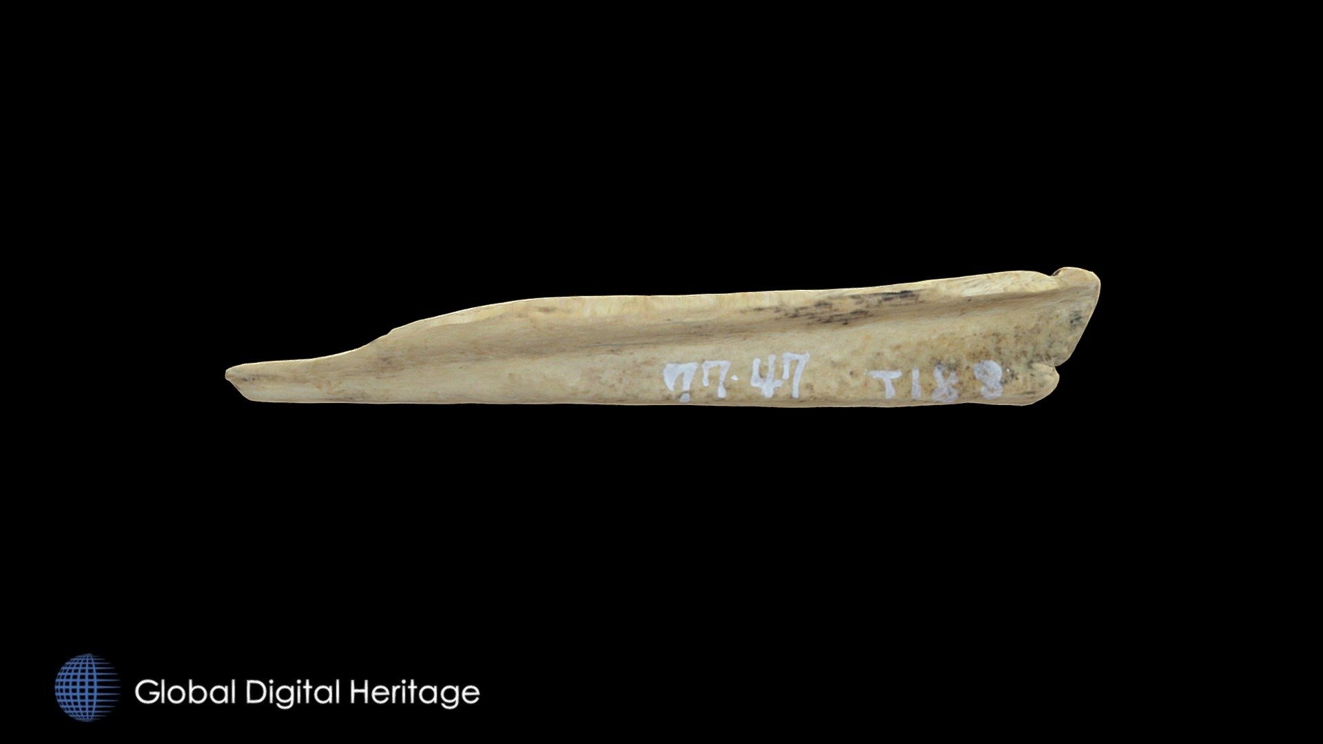 77-47-T188 Decorated Bone, Hot Springs Village